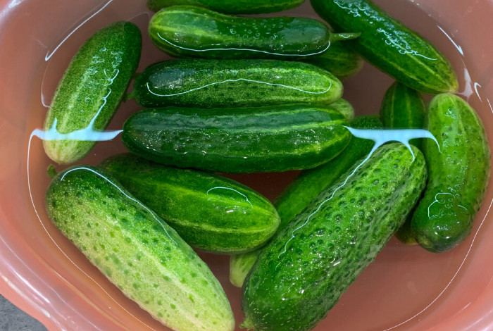 Огурец Ухажер