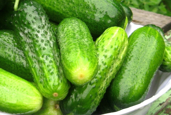 Огурец Ухажер