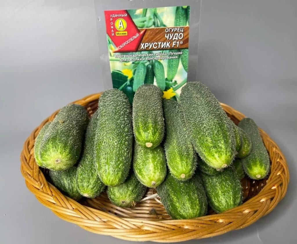 Огурец Чудо Хрустик