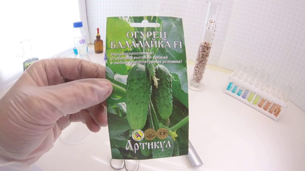 Огурец Балалайка