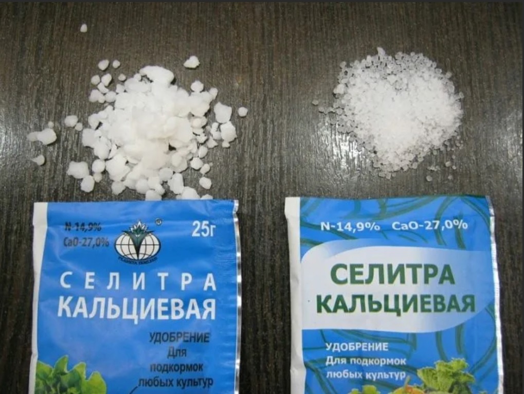 Кальциевая селитра для огурцов