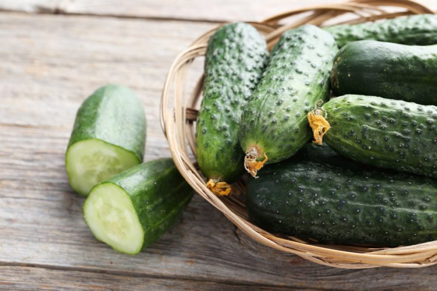 Огурец Криспина