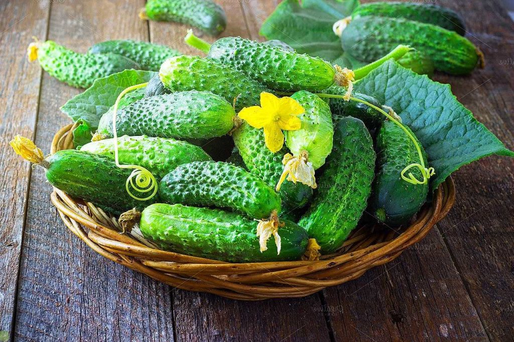 Огурец Йоллупукки