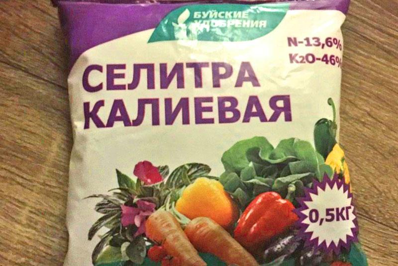 Калиевая селитра для огурцов