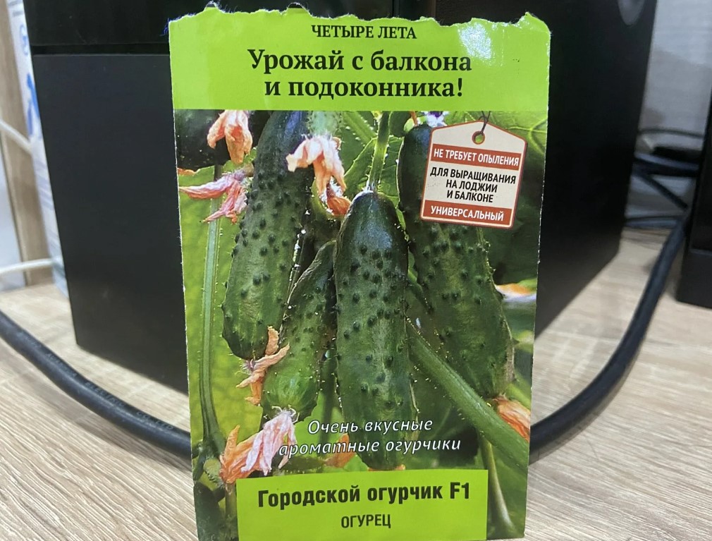 Огурец Городской огурчик