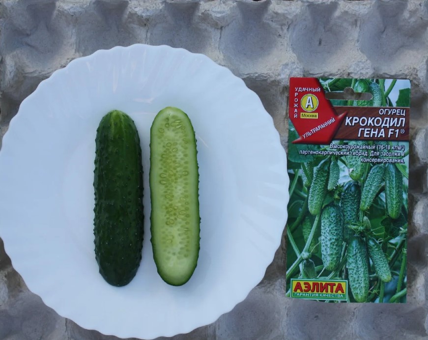 Огурец Крокодил Гена